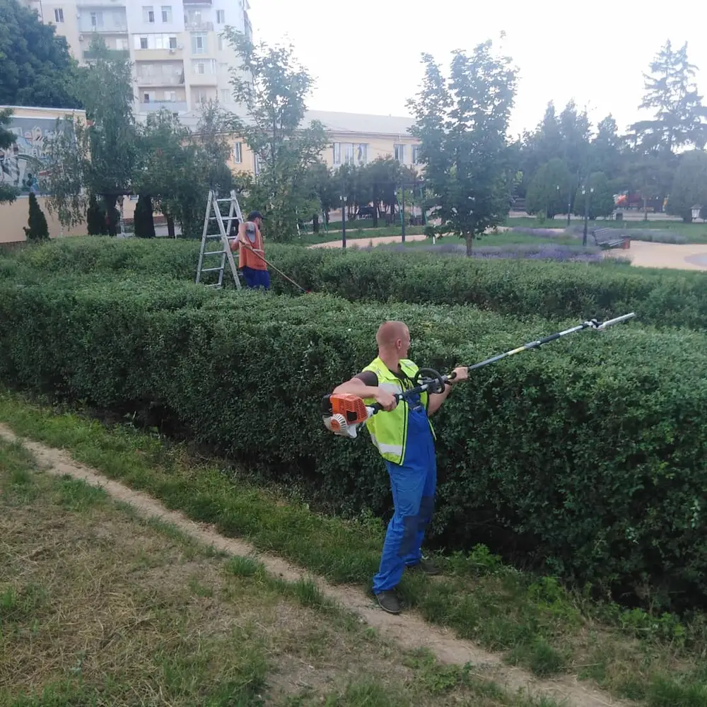Стрижка живых изгородей Фото-8