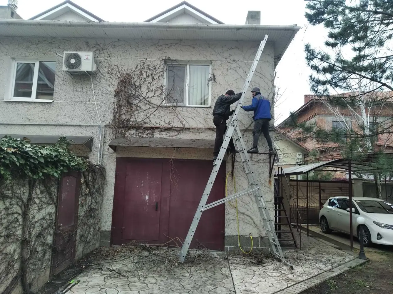 Зняття плющів з будівель і стрижка Фото-7