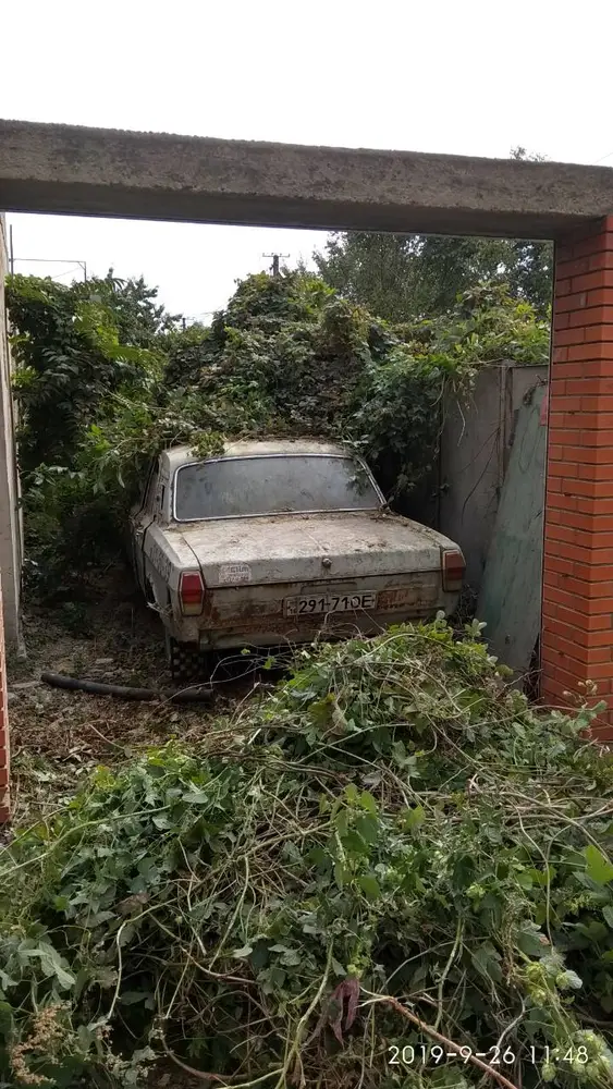 Зняття плющів з будівель і стрижка Фото-2