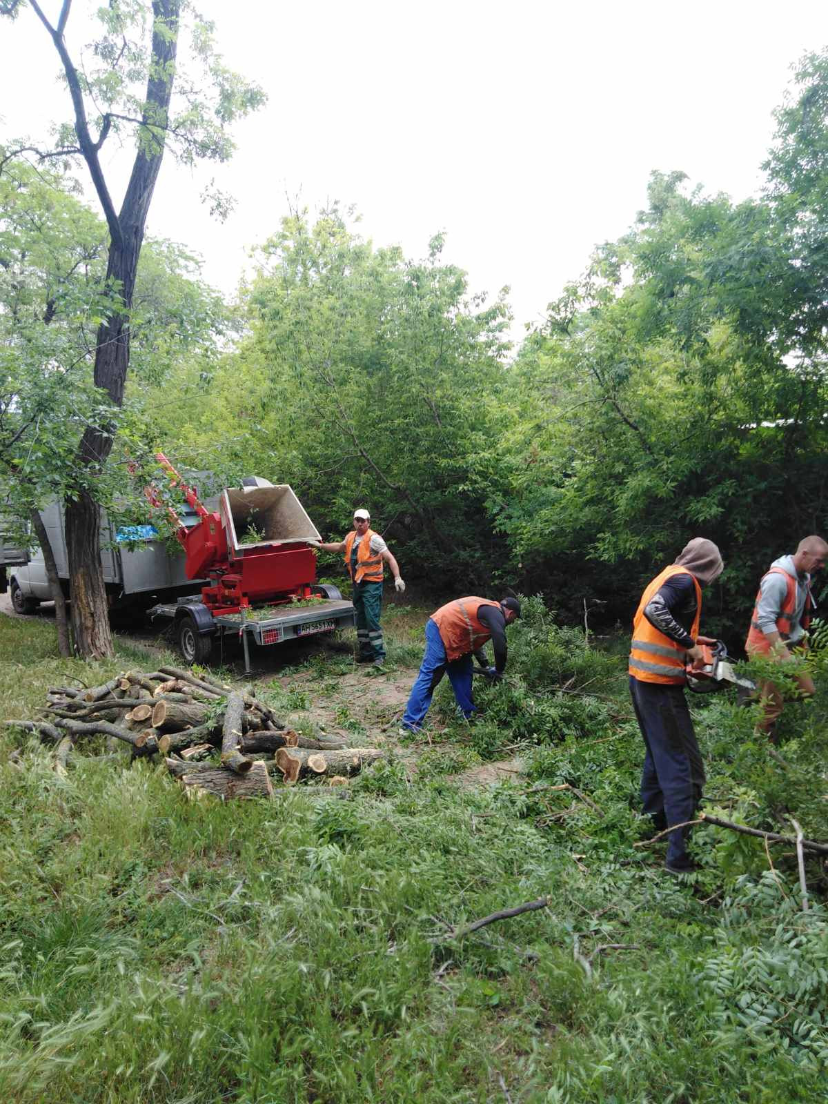 Очищення території Фото-8