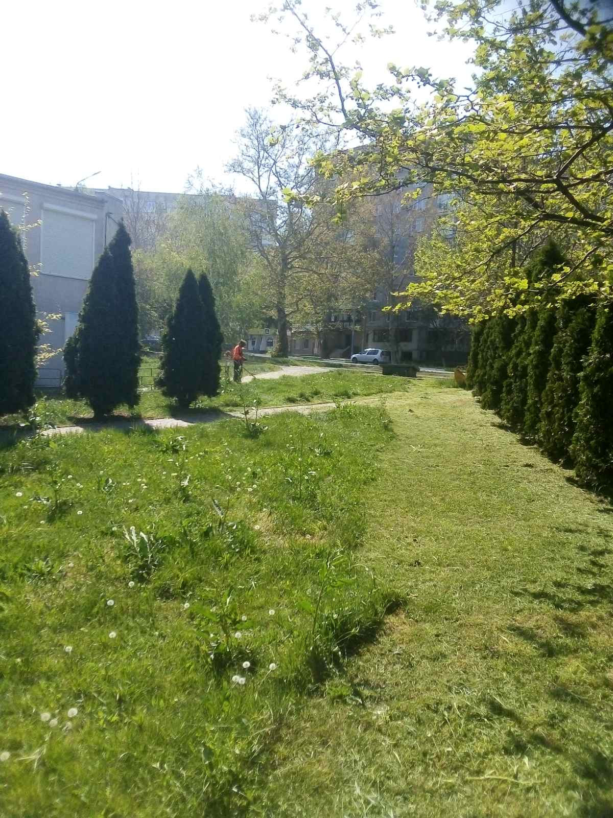 Косіння трави тримером Фото-10